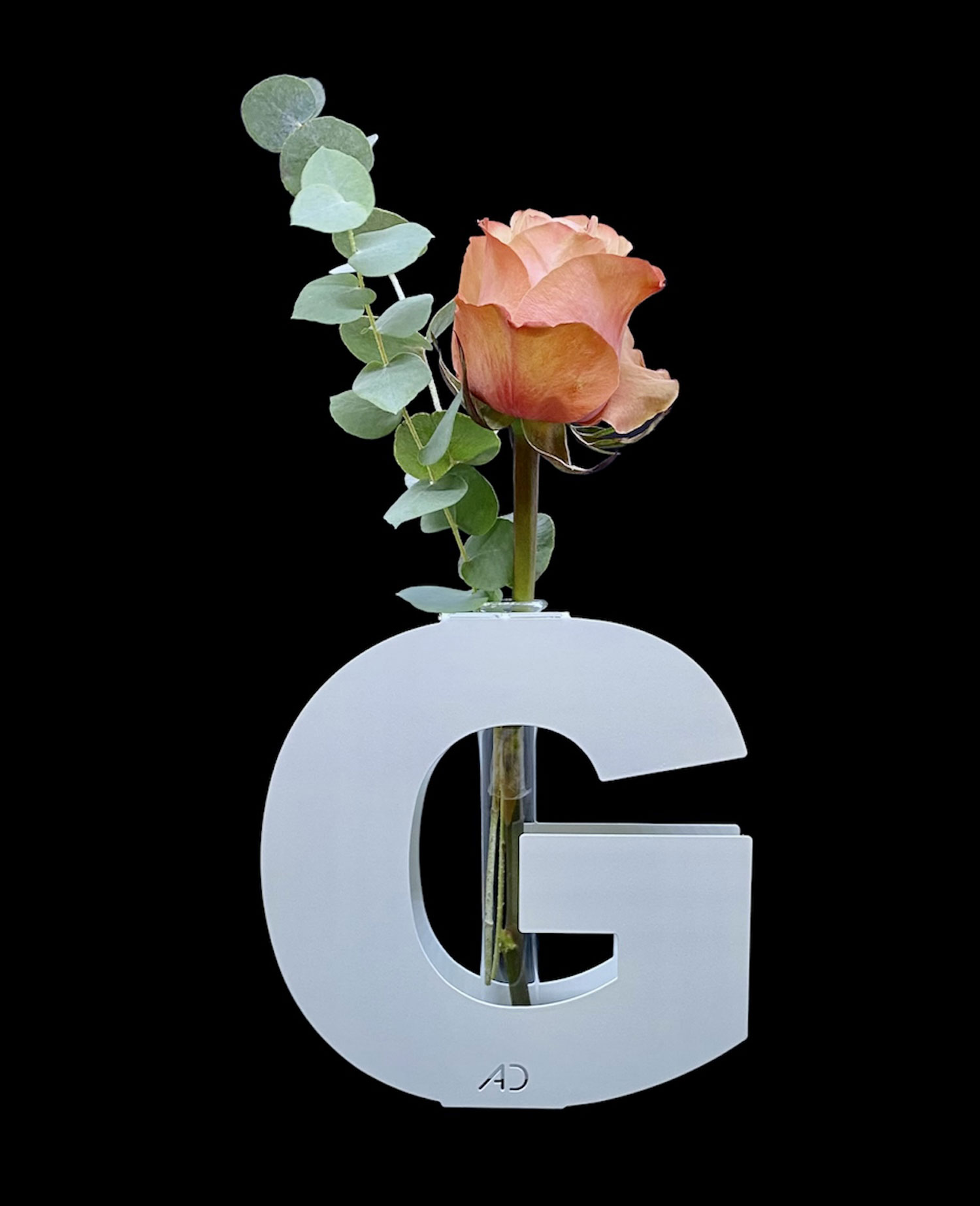 Lettera G - Alphabet Design